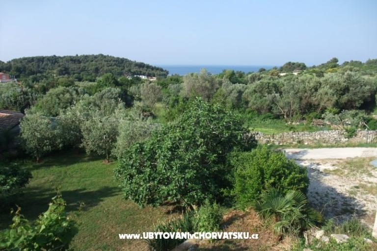 Adeksia apartment Premantura – foto 10