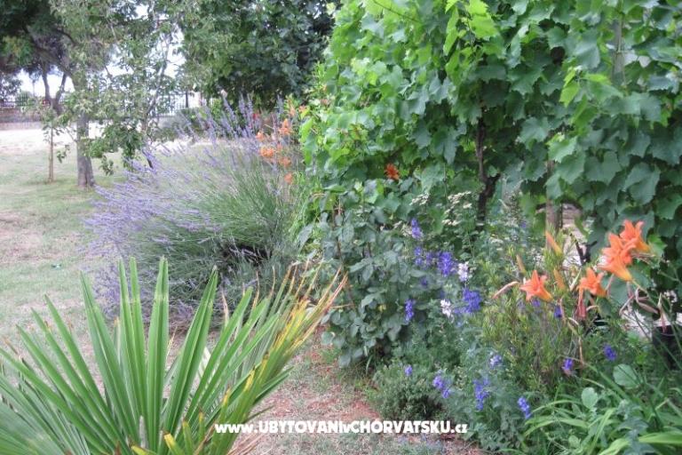 Alex 1 i Alex 2 – foto 10