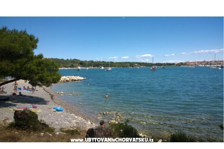 Alex 1 i Alex 2 – foto 18