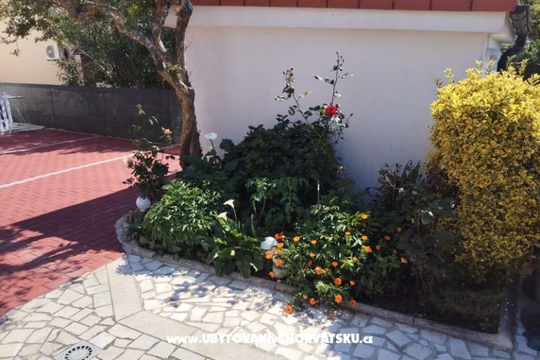 Appartementen Mila-Casa Bianca  – foto 6