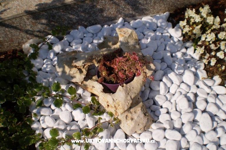 Appartementen Tony – foto 17