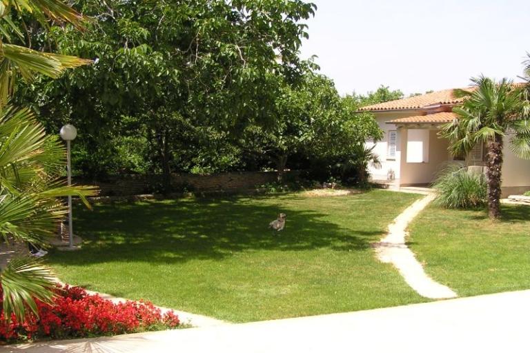 Appartementen Paloma blanca - Oaza Reg – foto 10