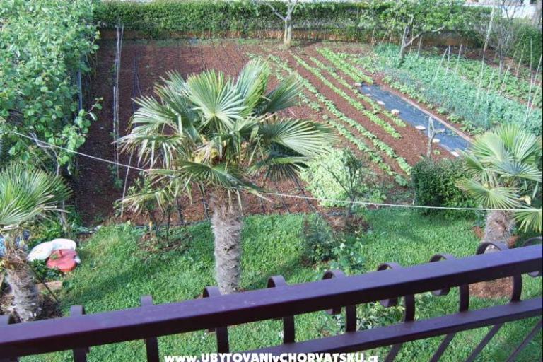 Appartementen Zova – foto 8