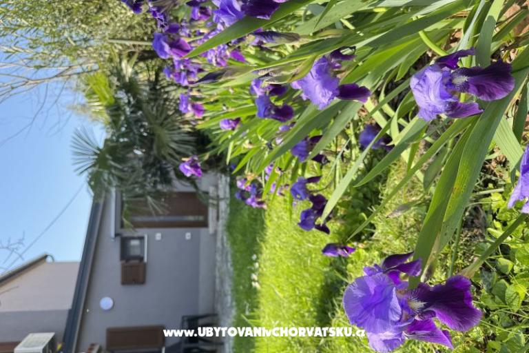 Flowers Appartement Medulin, Fucane 2 – foto 15
