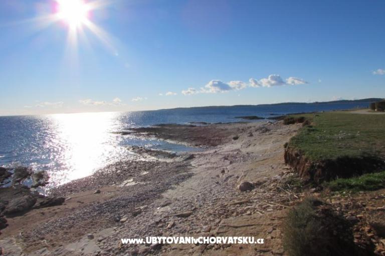 Huis Oliva – foto 17