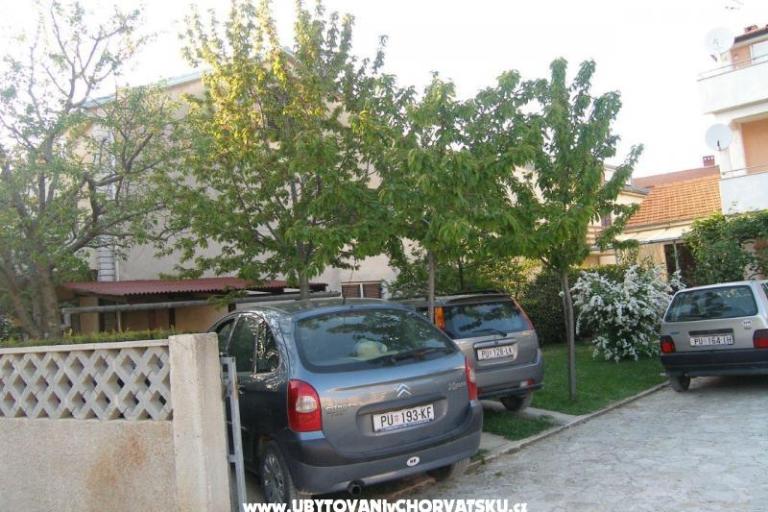 Kamers Marta – foto 12