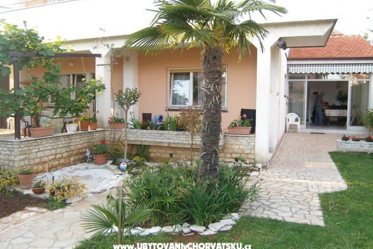 Kamers Marta – foto 5