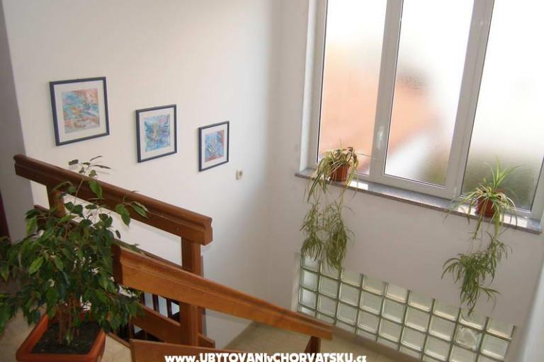 Kamers Marta – foto 7