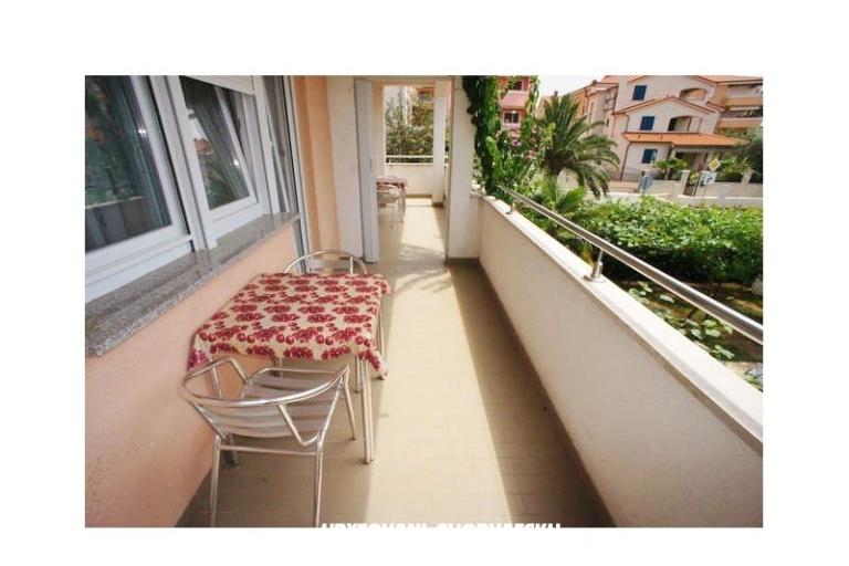 Kamers Marta – foto 8