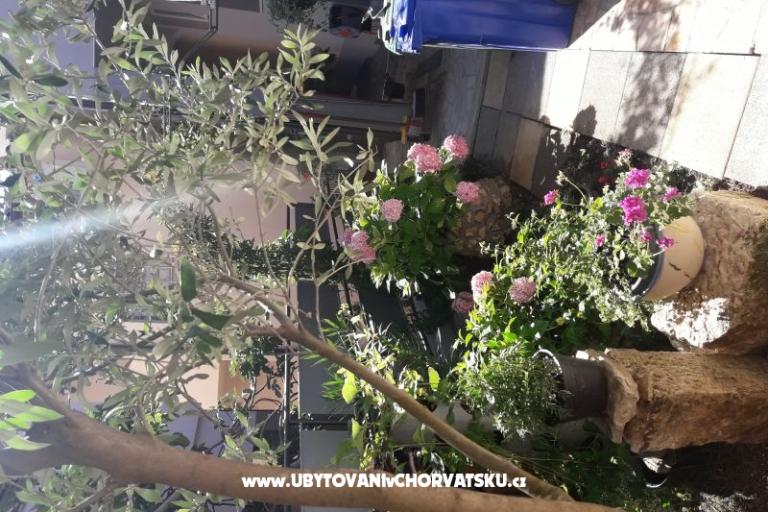 Appartementen SUNI – foto 6