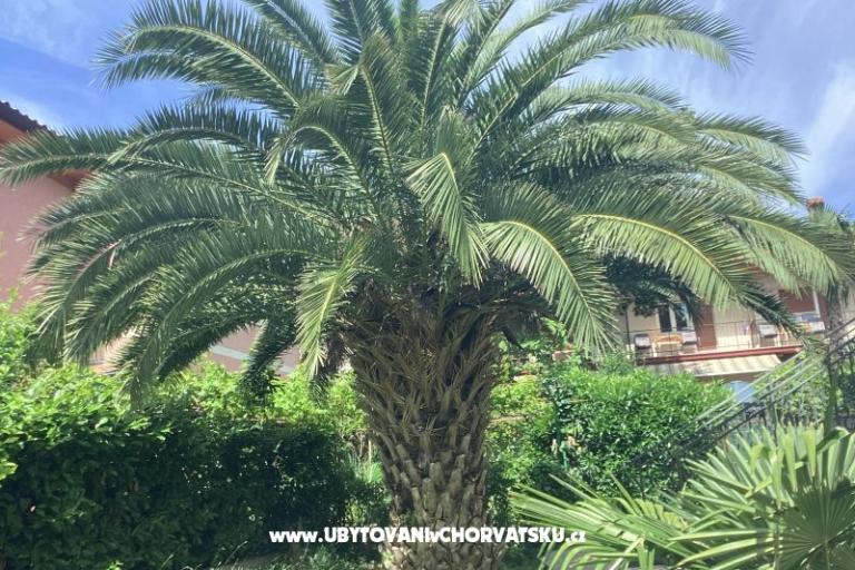 Appartementen Rubinić  – foto 19