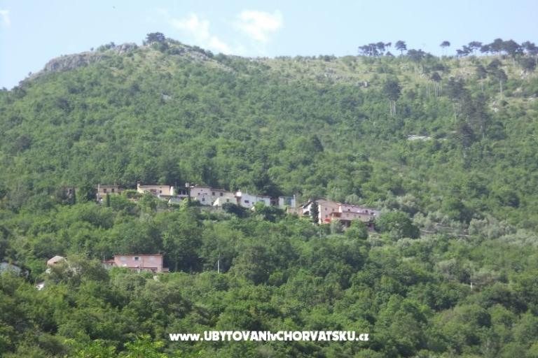 Vakantiehuis Mickey – foto 21