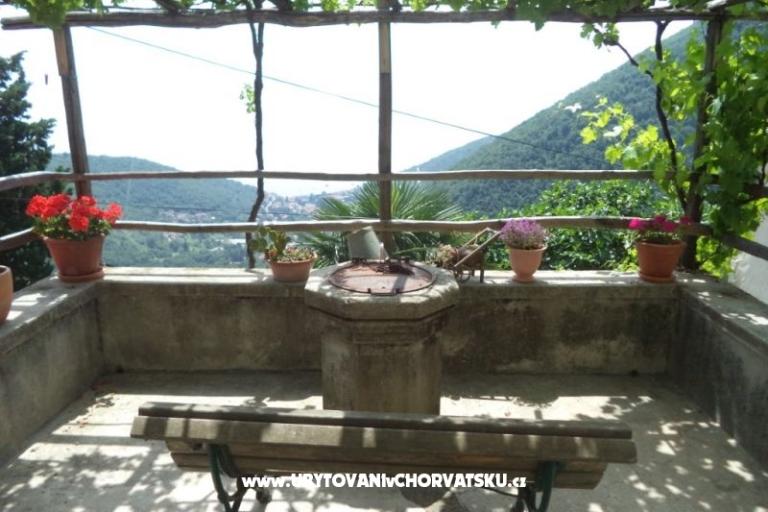 Vakantiehuis Mickey – foto 5