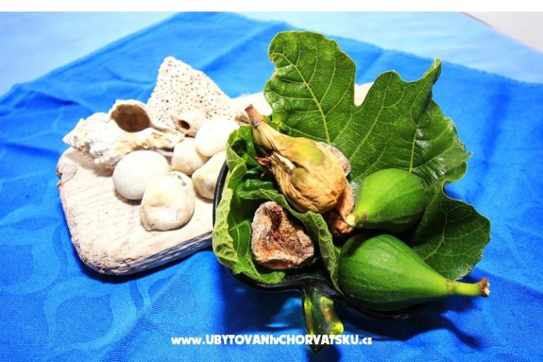 Appartement Dino Murter – foto 2