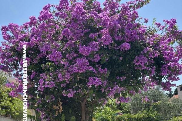 Appartementen Kovačić – foto 15