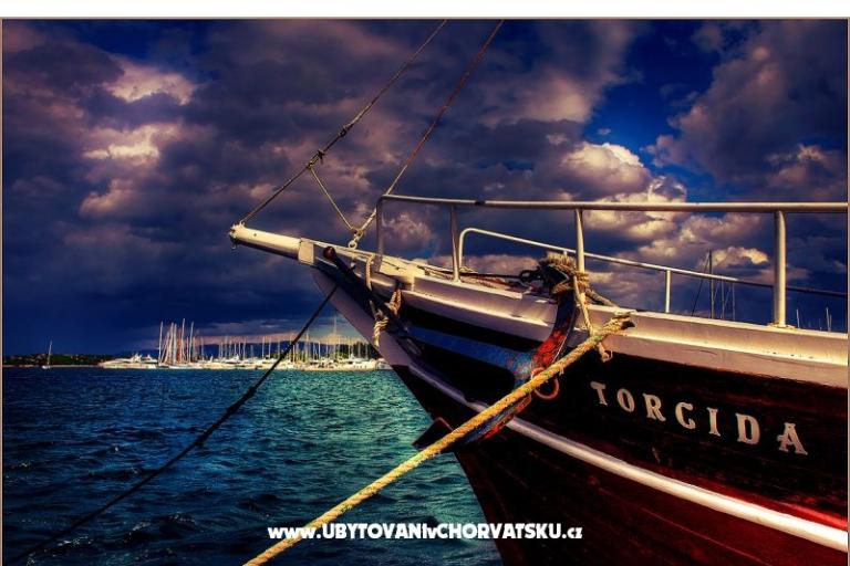 Kamperen Rehut Murter Slanica – foto 13