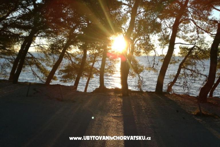 Villa Sole e Mare – foto 8