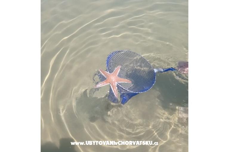 Appartement Zidaric – foto 18