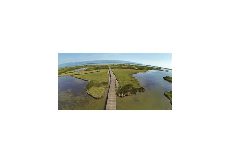 Appartementen Anita – foto 10