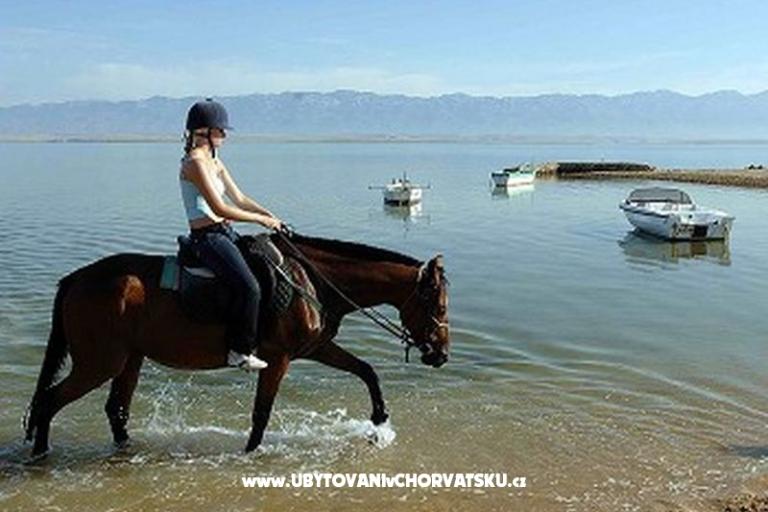 Appartementen Casa Tea  – foto 9