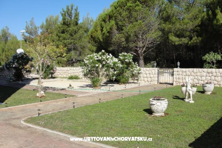 Appartementen Dario – foto 12