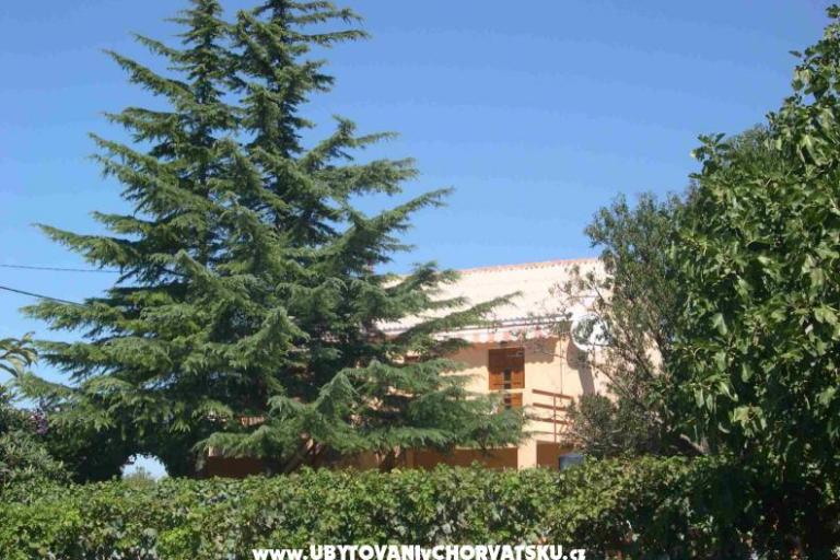 Appartementen Mrdelja – foto 2