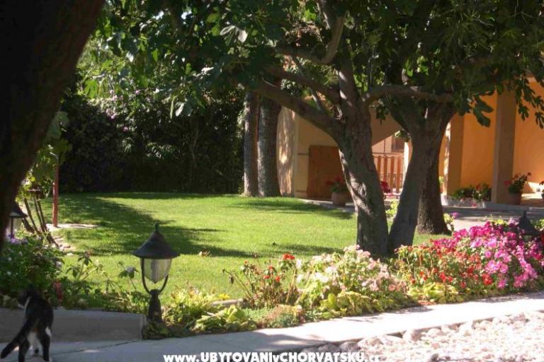 Appartementen Mrdelja – foto 7