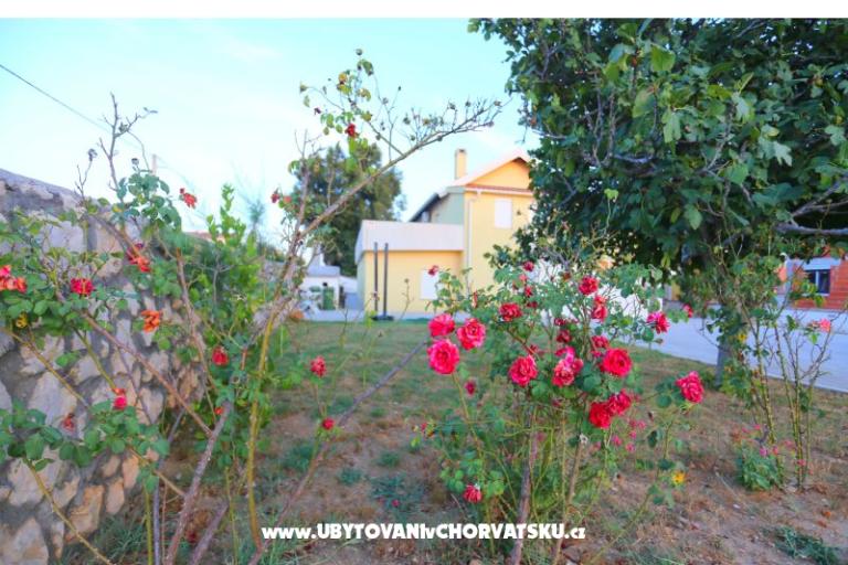 Appartement Novak Rudic – foto 2