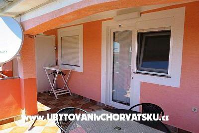 Ruža – foto 2