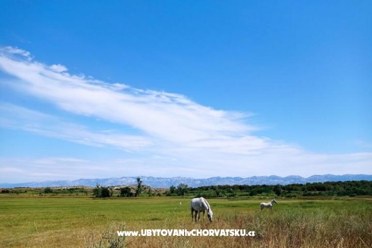 Appartement MARKO  – foto 12