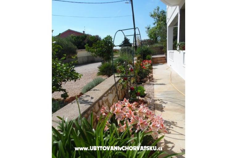 Appartementen Dabo – foto 11