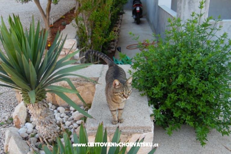 Appartementen Dabo – foto 19
