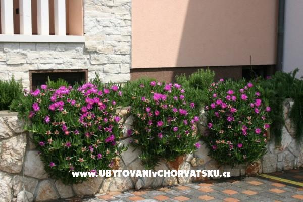 Appartementen Grga – foto 5