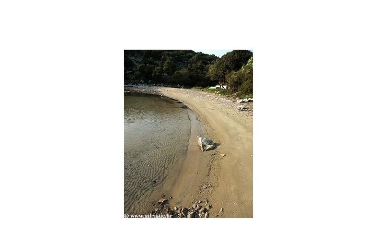 Appartementen Sisul – foto 18