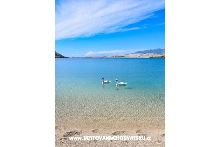 Appartementen Zlatna Vala – foto 21