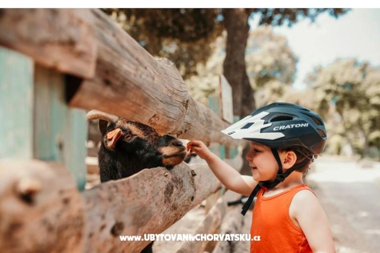 Mobile Home Luna - Kamperen Straško – foto 10
