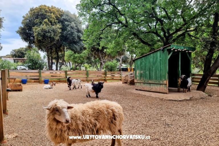 Huis Sookie – foto 41