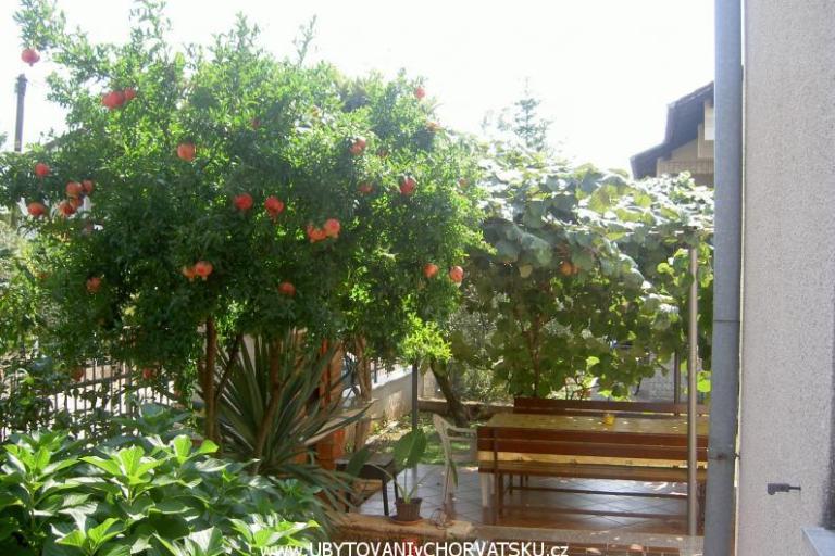 Appartementen Vošten – foto 5