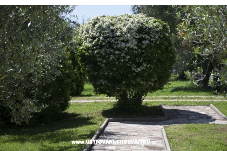 Sanja Appartementen Novigrad – foto 3