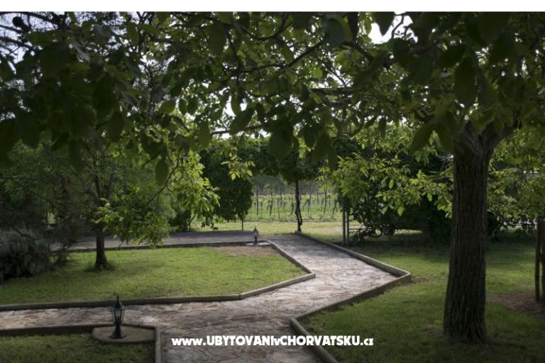 Sanja Appartementen Novigrad – foto 7