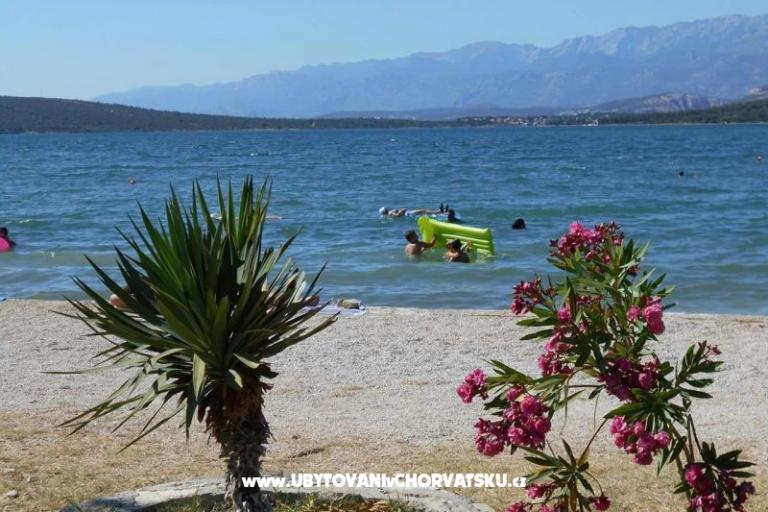 Appartement Dedi – foto 9