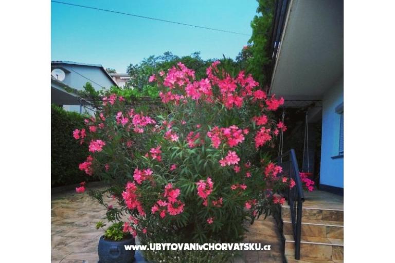 Appartementen BUTKOVIĆ DUBRAVKA – foto 12