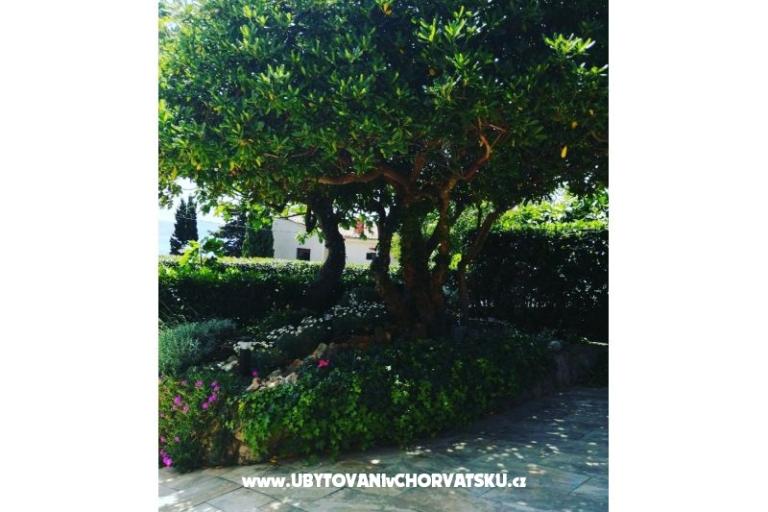 Appartementen BUTKOVIĆ DUBRAVKA – foto 13