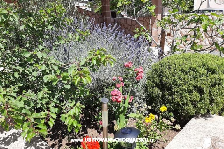 Appartementen Pavelić – foto 6