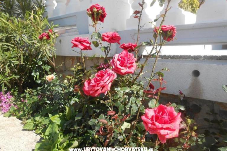 Appartementen Pavelić – foto 8