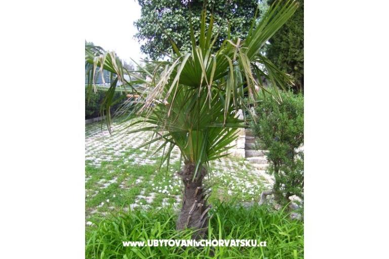 Appartementen   Zdenka  – foto 16