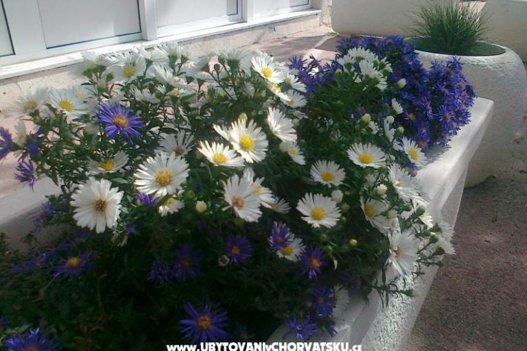 Appartement ANKA S. – foto 8