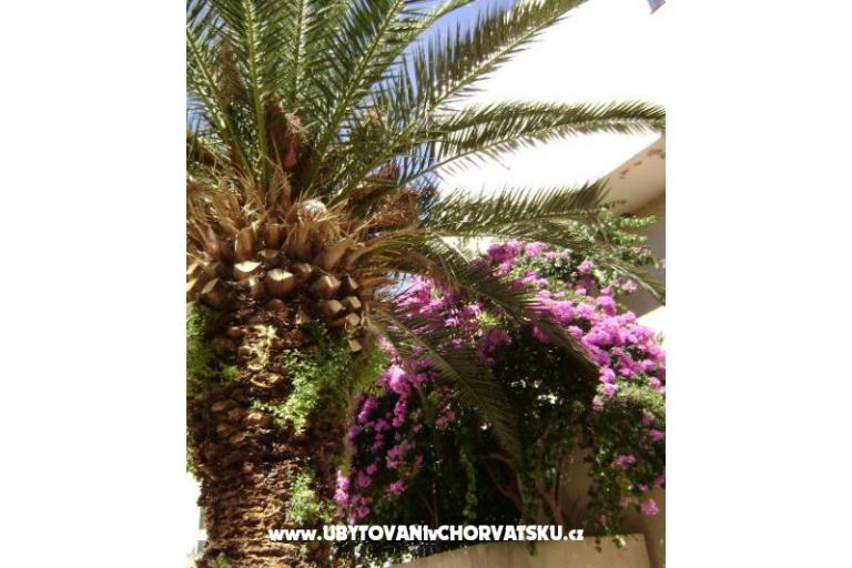 Appartement Mia – foto 11