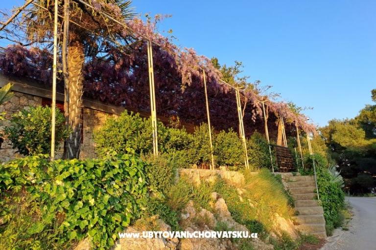 Appartementen AGAVA – foto 24