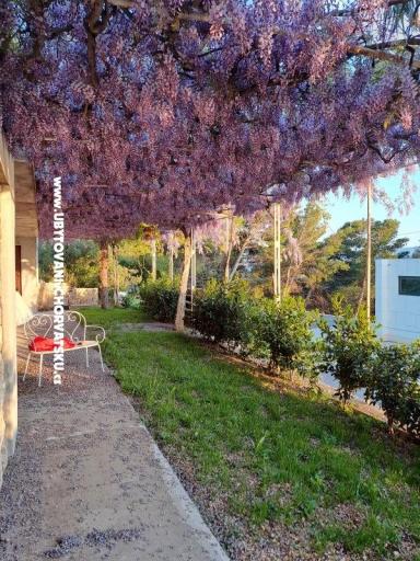 Appartementen AGAVA – foto 28